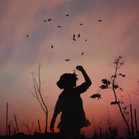 Work by Filmscape